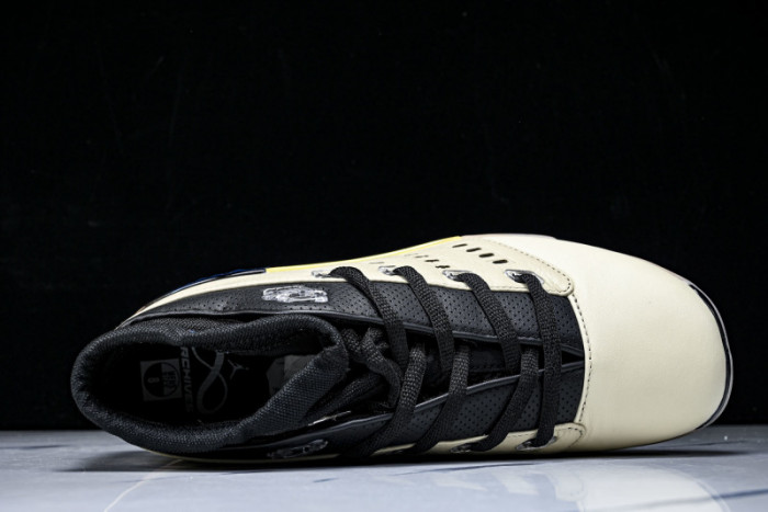 Infinite Archives x Air Jordan 17 Retro Low 