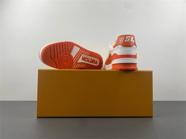 Practical Louis Vuitton LV trainer 2121